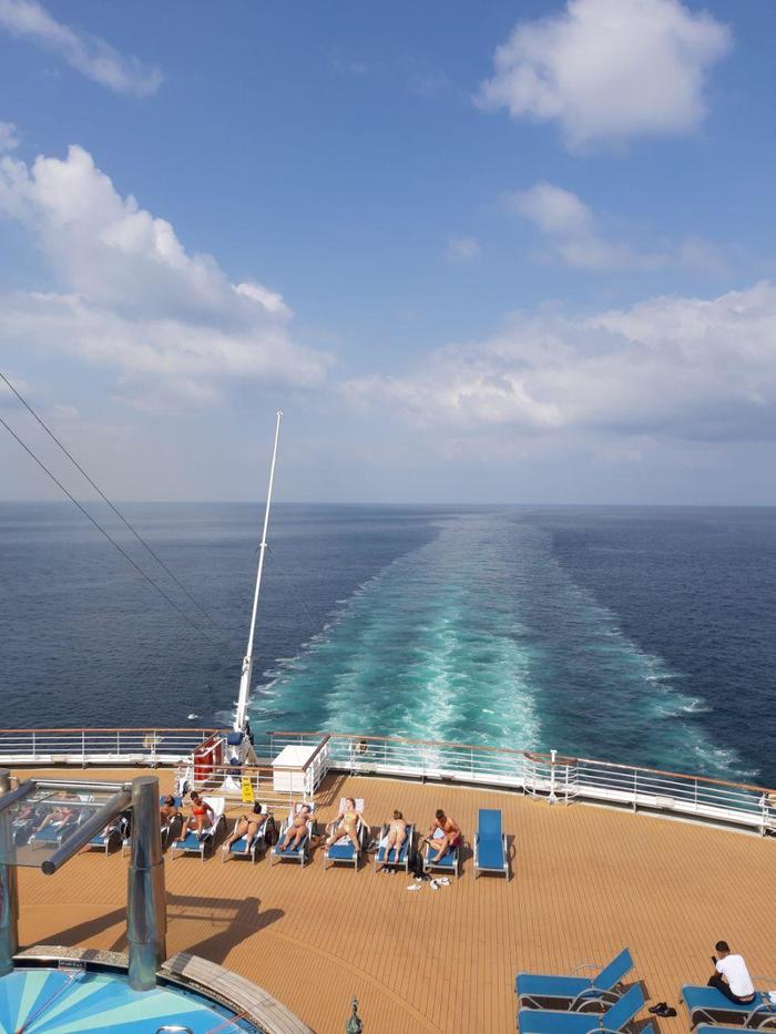 Coronavirus on a cruise ship - My, Coronavirus, Cruise liners, Work, Insulation, Sea, Mat, Video, Longpost
