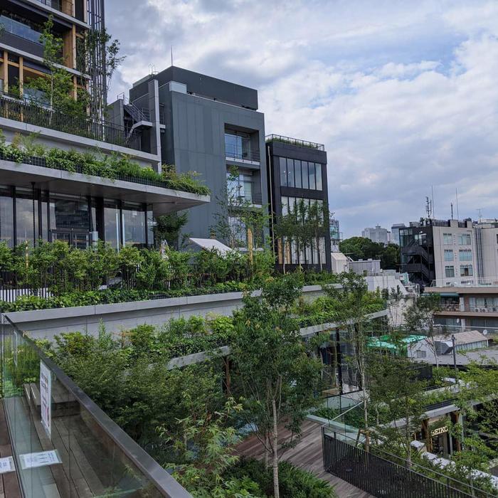 Токио летом