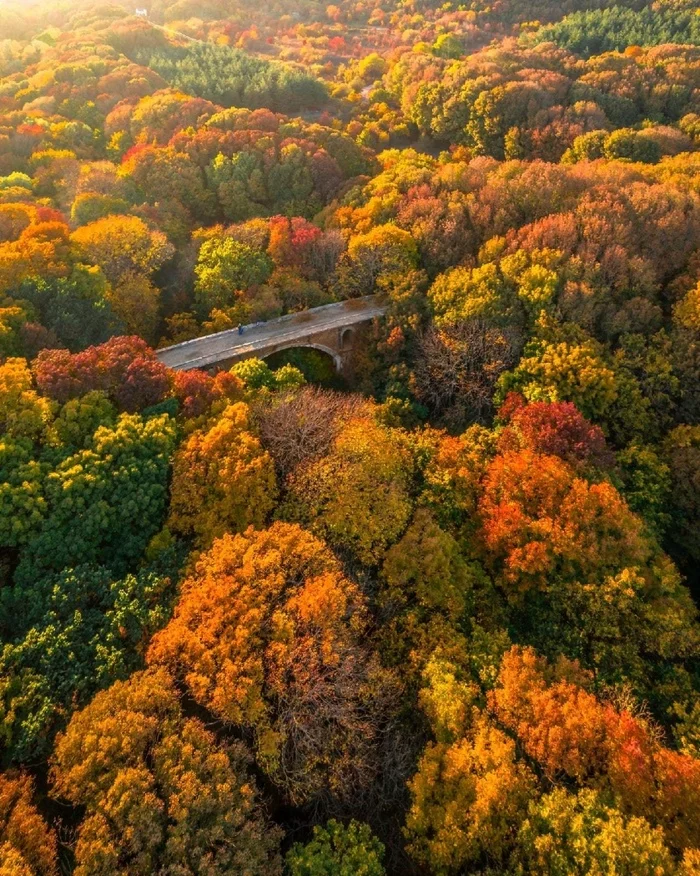 Autumn in Stavropol - The photo, Stavropol, Autumn, beauty, Nature