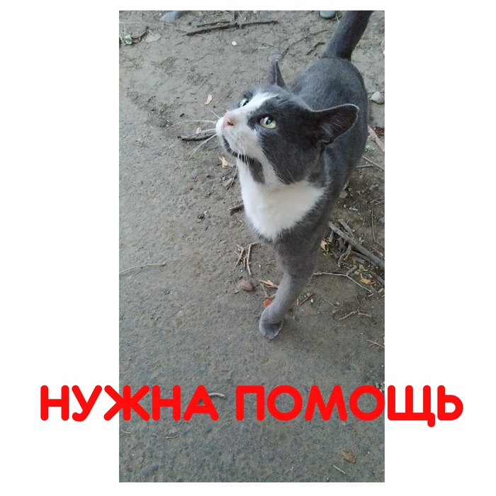    , , , 