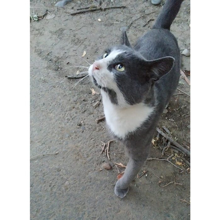    , , , 