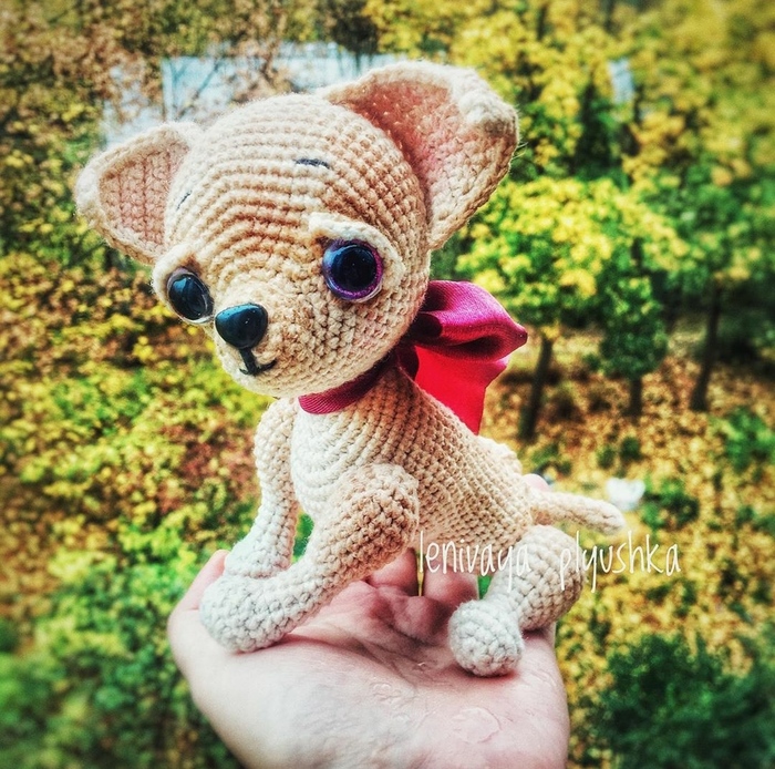 ��� ������ ����� �������