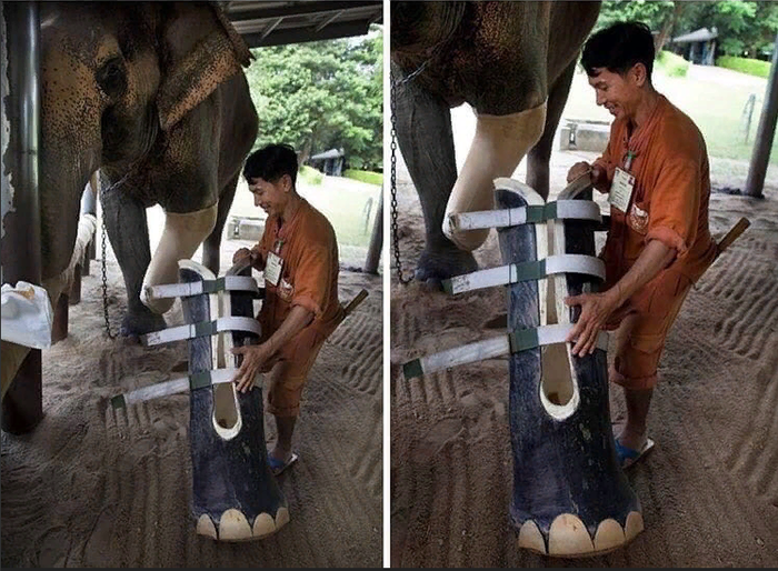 ������ ������ ������ ��� ����� �������� ������ ����� ����������