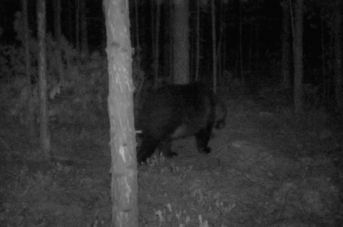 ��������� � ���� ��������� �����!