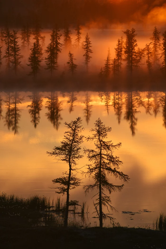 Morning date - My, Yamal, Siberia, Nikon, Landscape, Morning, dawn, Russia, New Urengoy, North, YaNAO, Fog, Longpost