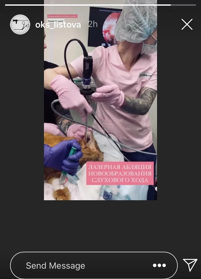 Continuation of the post “We decided to help a gentle ginger cat with an abscess. And they sailed. The cat turned out to be diabetic - My, cat, Diabetes, Vet, Veterinary, Vet clinic, Help, Animal Rescue, Pets, Homeless animals, Redheads, Reply to post, Longpost, Screenshot