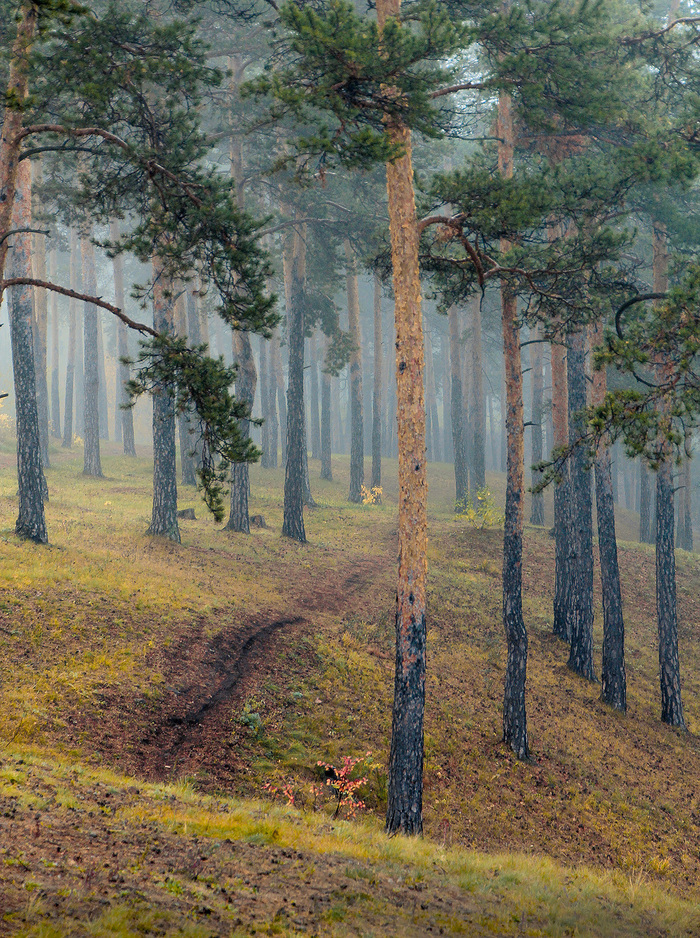 Каштак фото челябинск