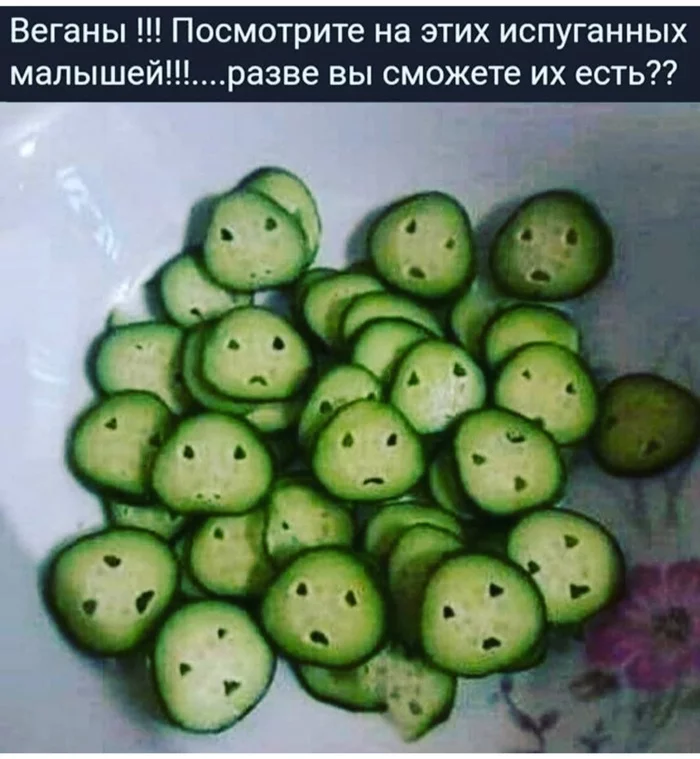 Don't eat me - Humor, Vegan, Vegetarianism, Cucumbers, Pareidolia, Picture with text