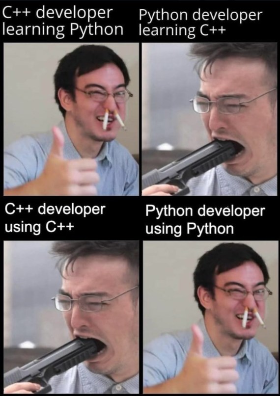 The life of a programmer - Programming, Humor, C ++, Python