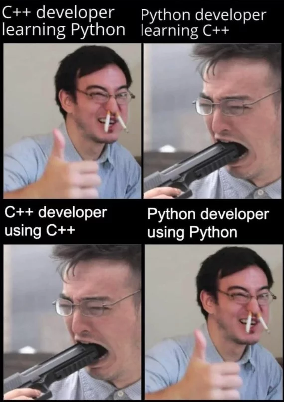 Life of a Programmer - Programming, Humor, C ++, Python