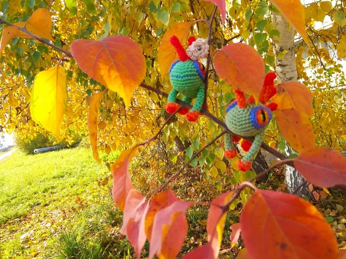 Autumn mood - My, Murlocs, Knitting, Knitted toys, Needlework without process, Crochet, Story, World of warcraft, Video, Longpost