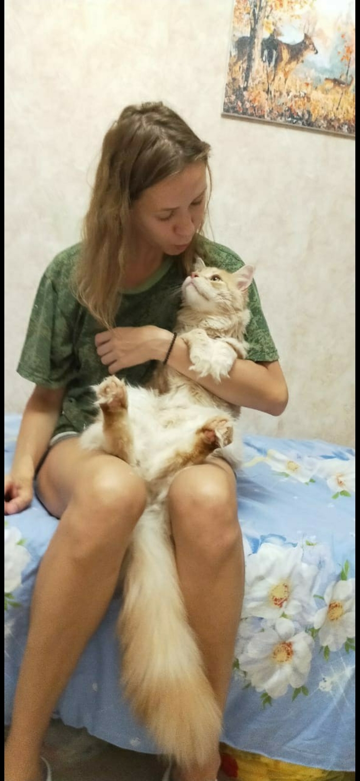 чем мыть мейн куна в домашних условиях. 16029296331297776. чем мыть мейн куна в домашних условиях фото. чем мыть мейн куна в домашних условиях-16029296331297776. картинка чем мыть мейн куна в домашних условиях. картинка 16029296331297776.