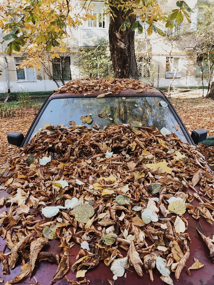 Autumn on Kavkazsky Boulevard in Moscow - My, Autumn, Moscow, Mobile photography, Outskirts, Fuck aesthetics, Renovation, Five-story building, Longpost, Autumn leaves, Auto