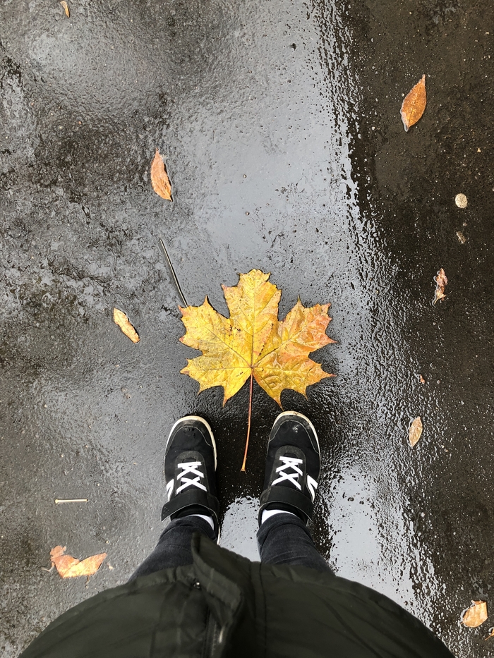 Я люблю тебя, осень-осень