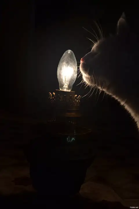 Пошутил, пообещав автостопщице жениться, еле сбежал