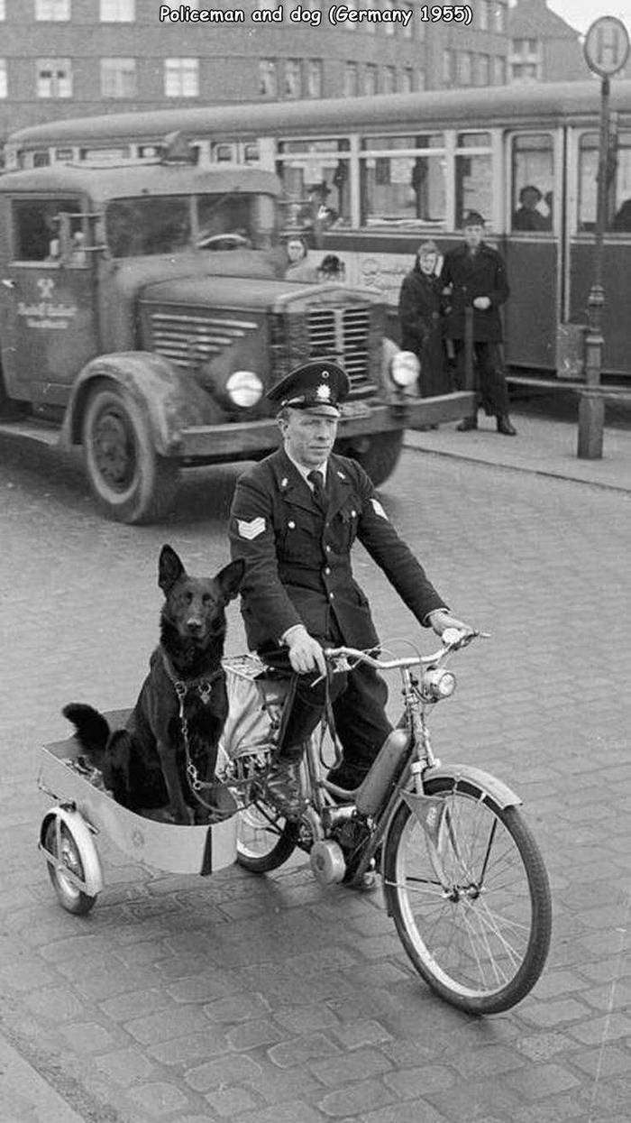 Policeman with a dog (Germany, 1955) - Policeman, Dog, A bike, Cart, Care, Retro, Germany, The photo, , Black and white photo, 1955, Police