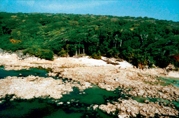 The last island on Earth inhabited by primitive people - Story, Island, Tribes, Longpost