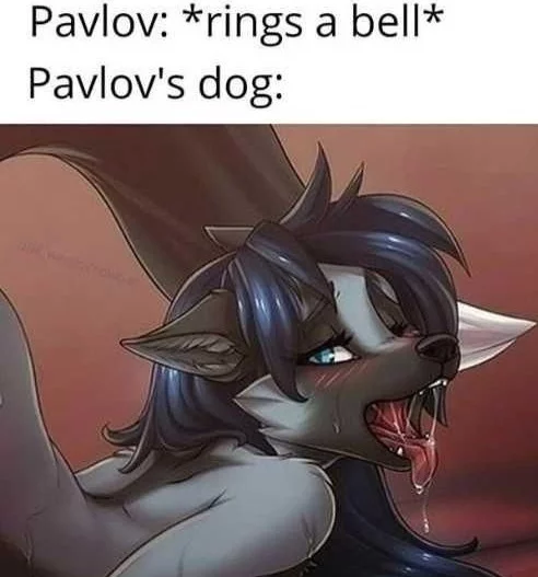 Animal instinct - Pavlov's dog, Furry, Memes, Strange humor, Instinct, Screenshot, From the network