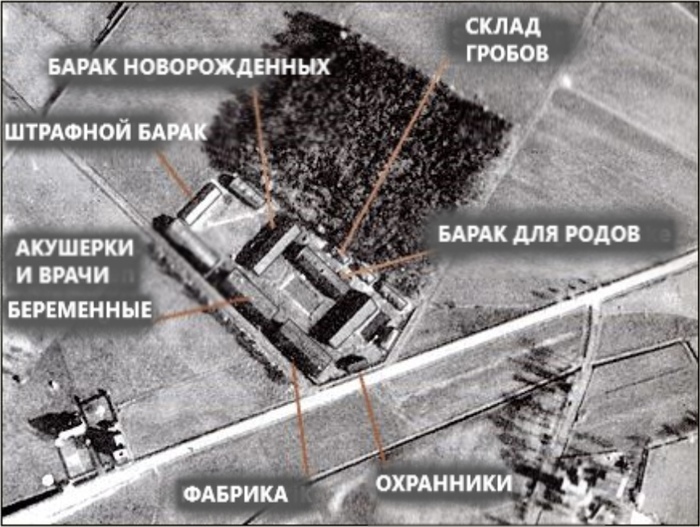 Можно ли быть ип работая в газпроме