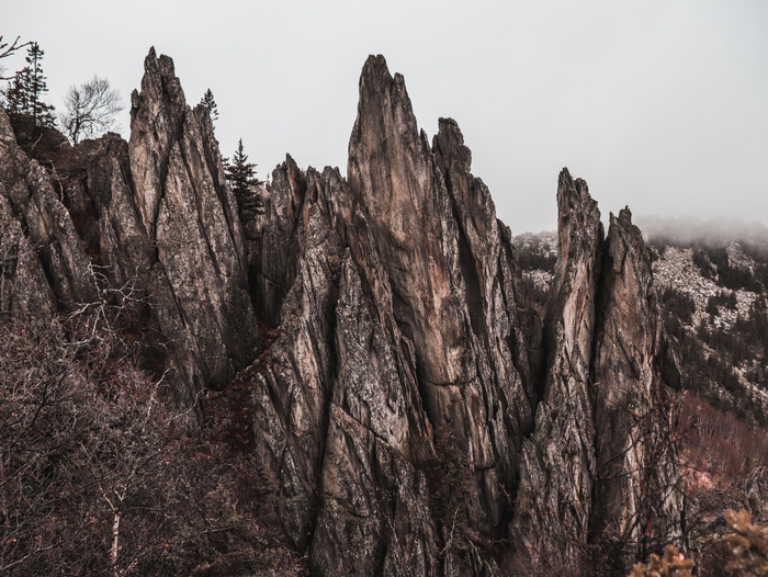  Canon, Lightroom, , , 