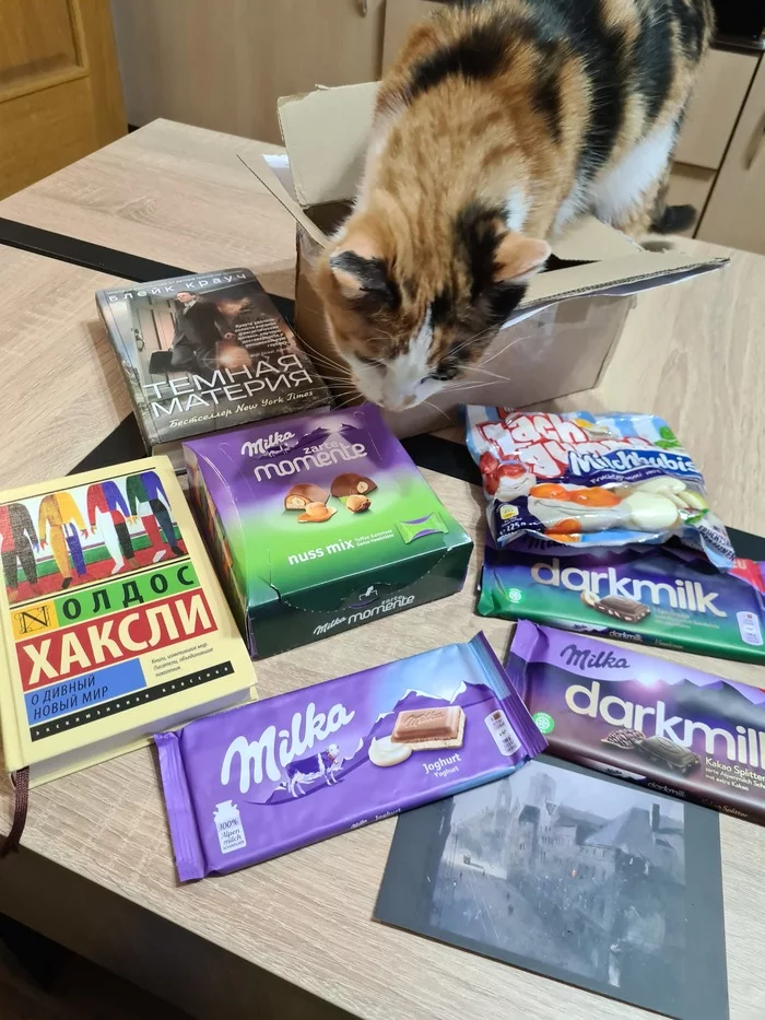 Gift exchange report. Book turn. Landau-Minsk - My, Gift exchange report, Books, Gift exchange, cat, Tricolor cat