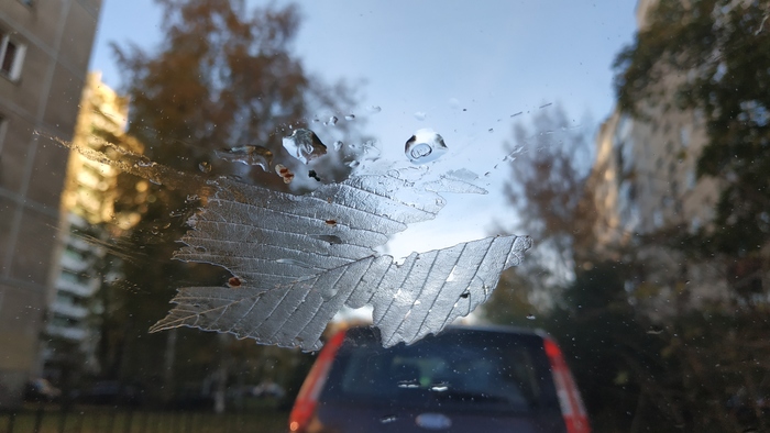 ��� � ���� ��������