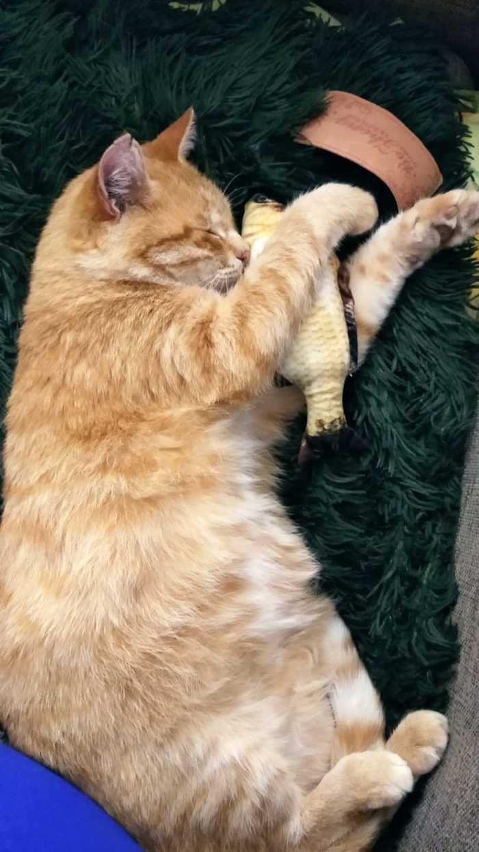 ���� ���� �����