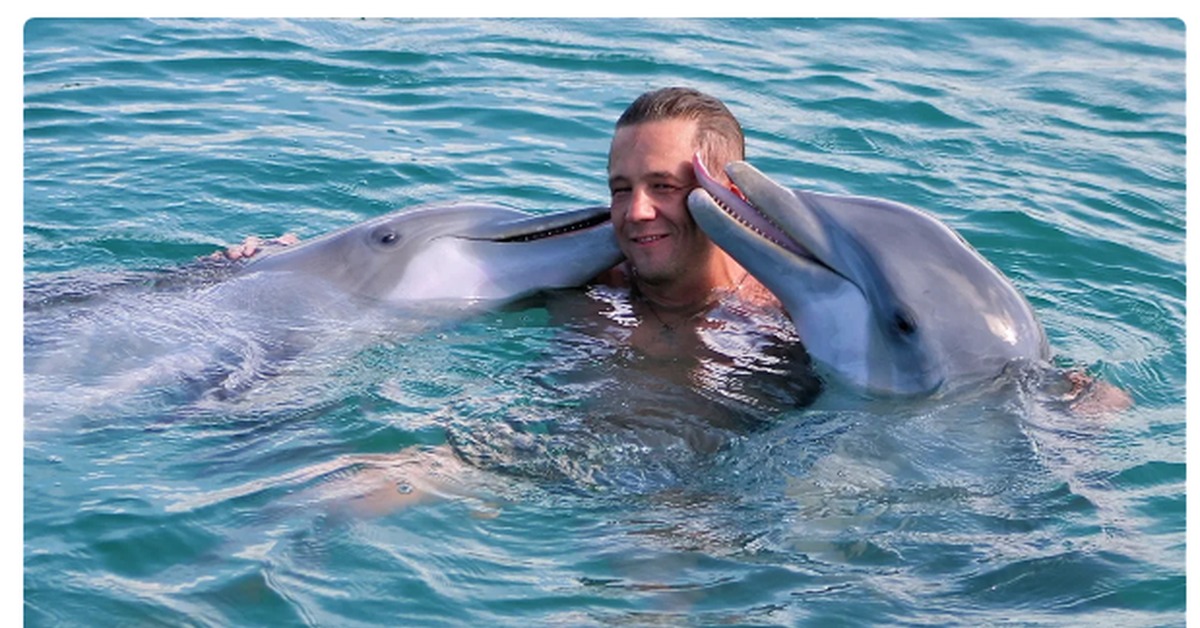 Люди дельфины песня. Дельфин Афалина Черноморская. Дельфин Афалина с человеком. Черноморская Афалина и человек. Дельфины дружелюбные.