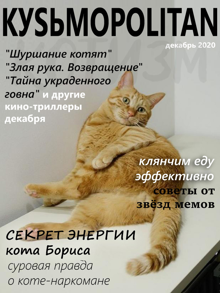 The magazine your cat secretly subscribes to - My, cat, Picture with text, Magazine, Kus, media, Longpost, Media and press