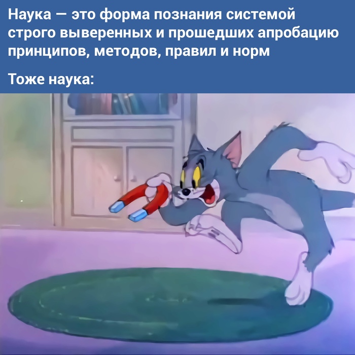  1117:        , , ,   , ,  , 