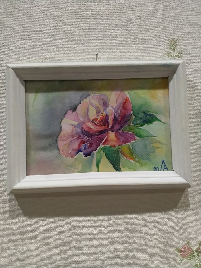 ������ (������, ��������)