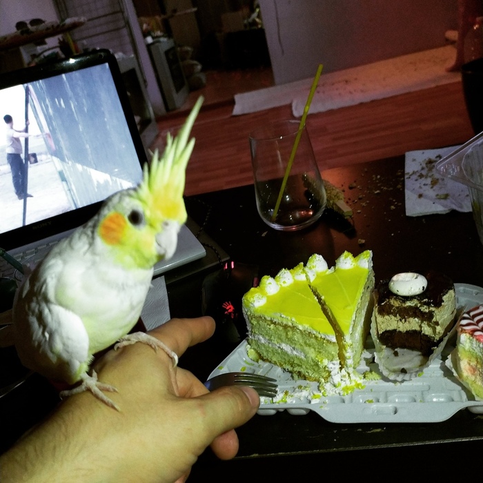 ���� ��� ��� ��? (��� ��������)