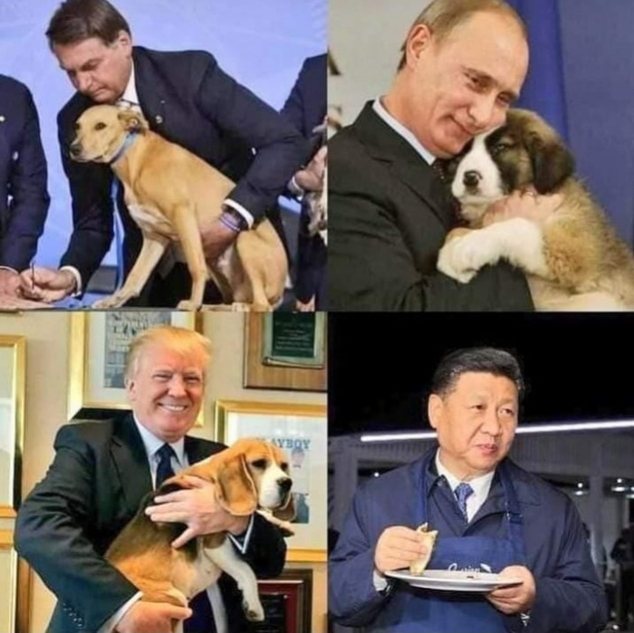 ��� ����� ������