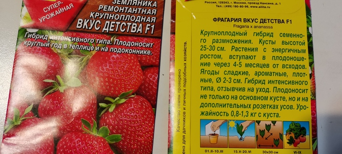 Клубника Алый огонек и Вкус детства