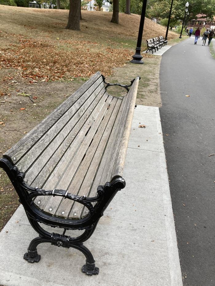 Why not... - Benches, Design, The park, Seat, Lying