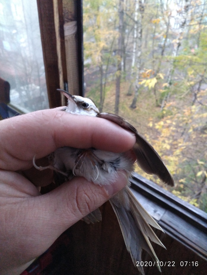 ��� �� ����?