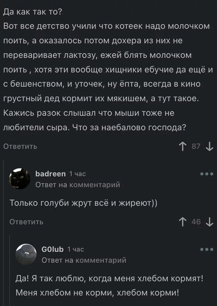 Don't feed me bread, feed me bread - Fantasy, Pigeon, Screenshot, Comments on Peekaboo, Comments