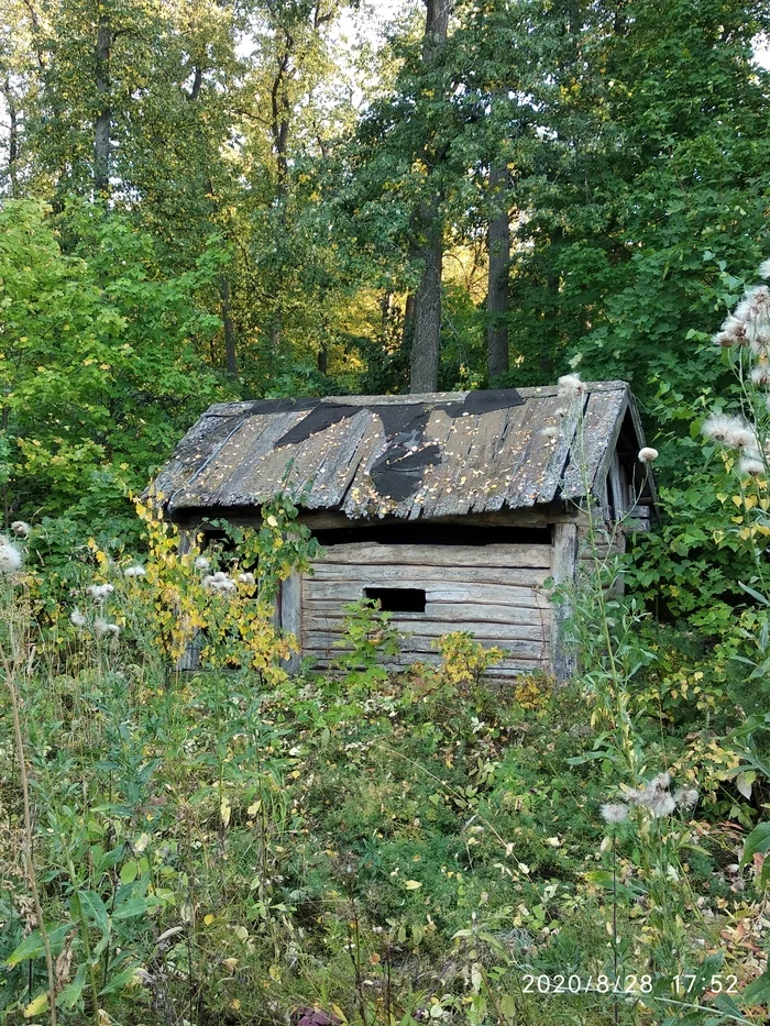 Хижина в лесу - Моё, Хижина, Заброшенное, Природа, Время, Баня, Деревня