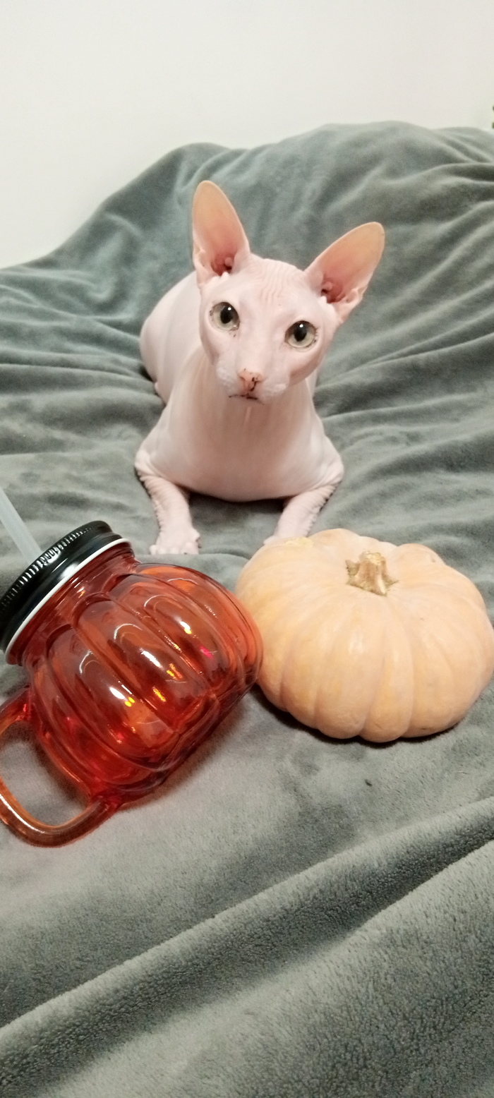 Сладкая тыковка