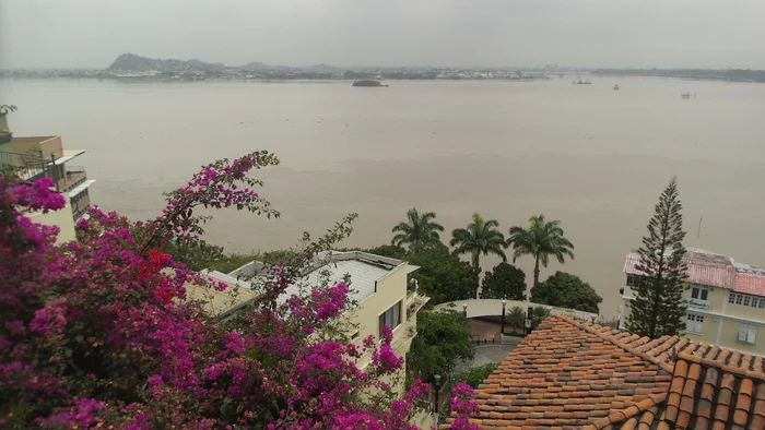 Latin American Checkmark - Guayaquil(24-26.10.2019) - My, South America, Travels, Budget travel, Tourism, Longpost, Video, Series Latin American Tick 20192020