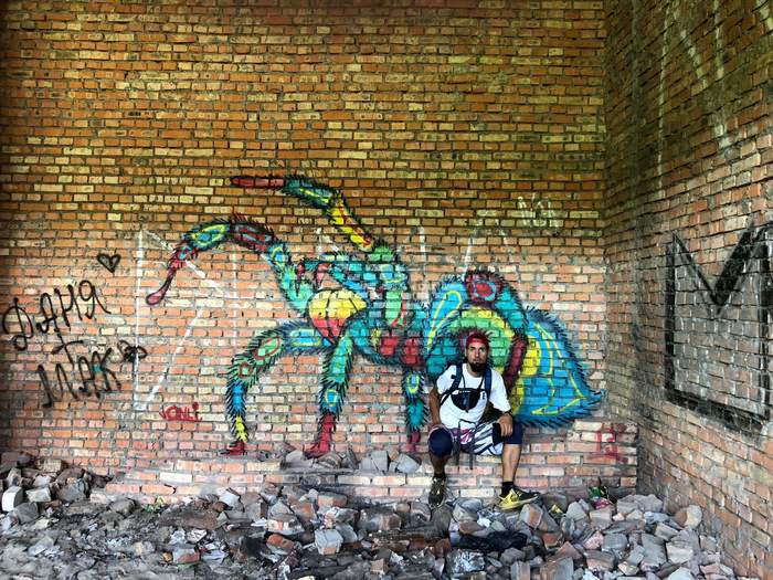 Graffiti. Spider - My, The photo, Street art, Graffiti, Art, Street photography, Graffiti Wildstyle