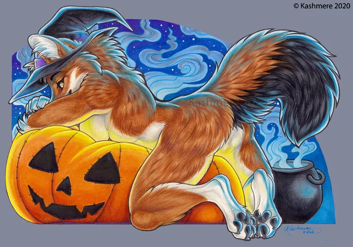 Halloween - Furry, Art, Traditional art, Wolf, Kashmere, Witches, Halloween, Furry edge, Pumpkin, Halloween pumpkin, Furry wolf, Furry canine