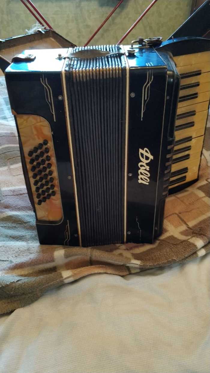 Vintage accordion - My, Musical instruments, Trophy, Story, Rarity, Longpost, Accordion