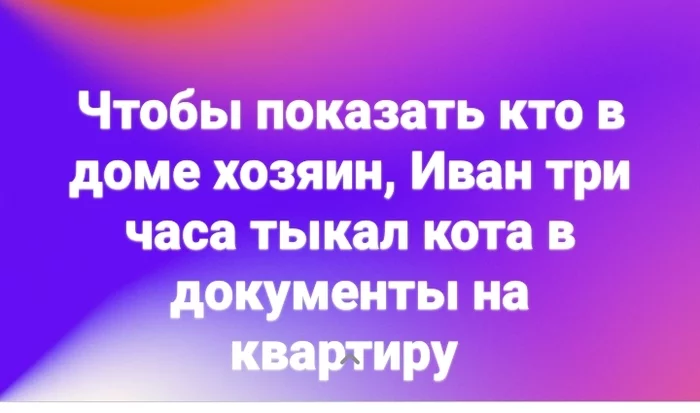 Кто в доме хозяин - Кот, Надеюсь это шутка, Юмор