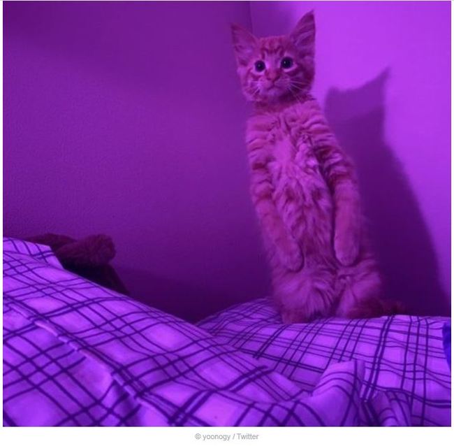 � ��� ��� �� ��� �������?