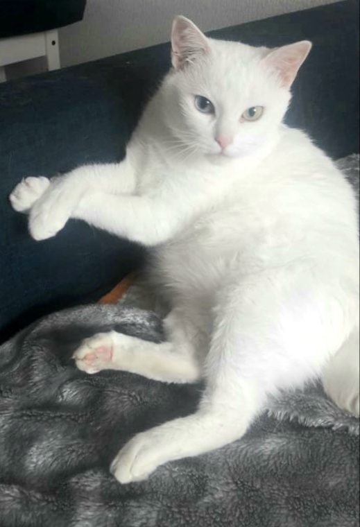 Я тебя внимательно слушаю...