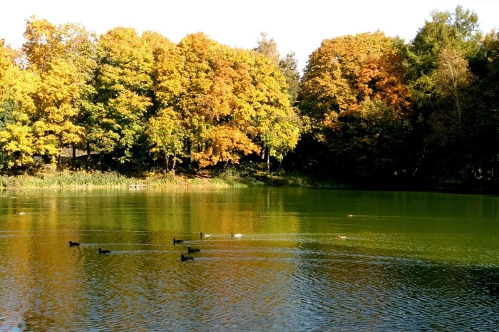 Autumn in the park - My, Autumn, The park, Walk, Rotunda, Longpost