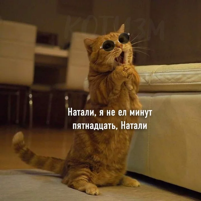 А теперь КотоЛепс Кот, Григорий Лепс, Длиннопост, Картинка с текстом