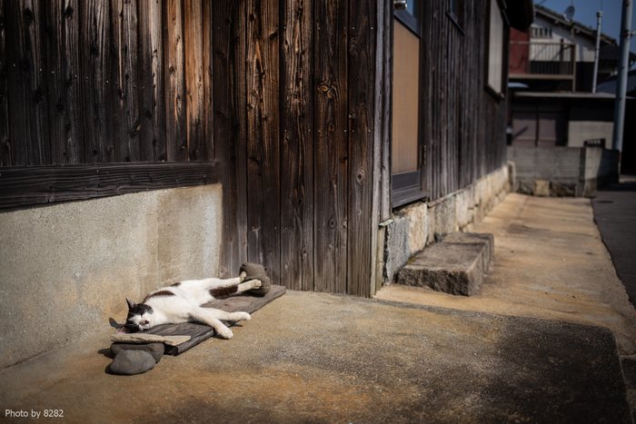 "... нельзя терять чувство опоры даже во сне"