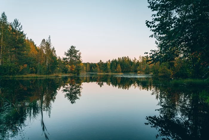 Reflection of nature - My, Saint Petersburg, Leningrad region, Eco-trail, Nature, Lake, Reflection, Forest, The photo, Landscape